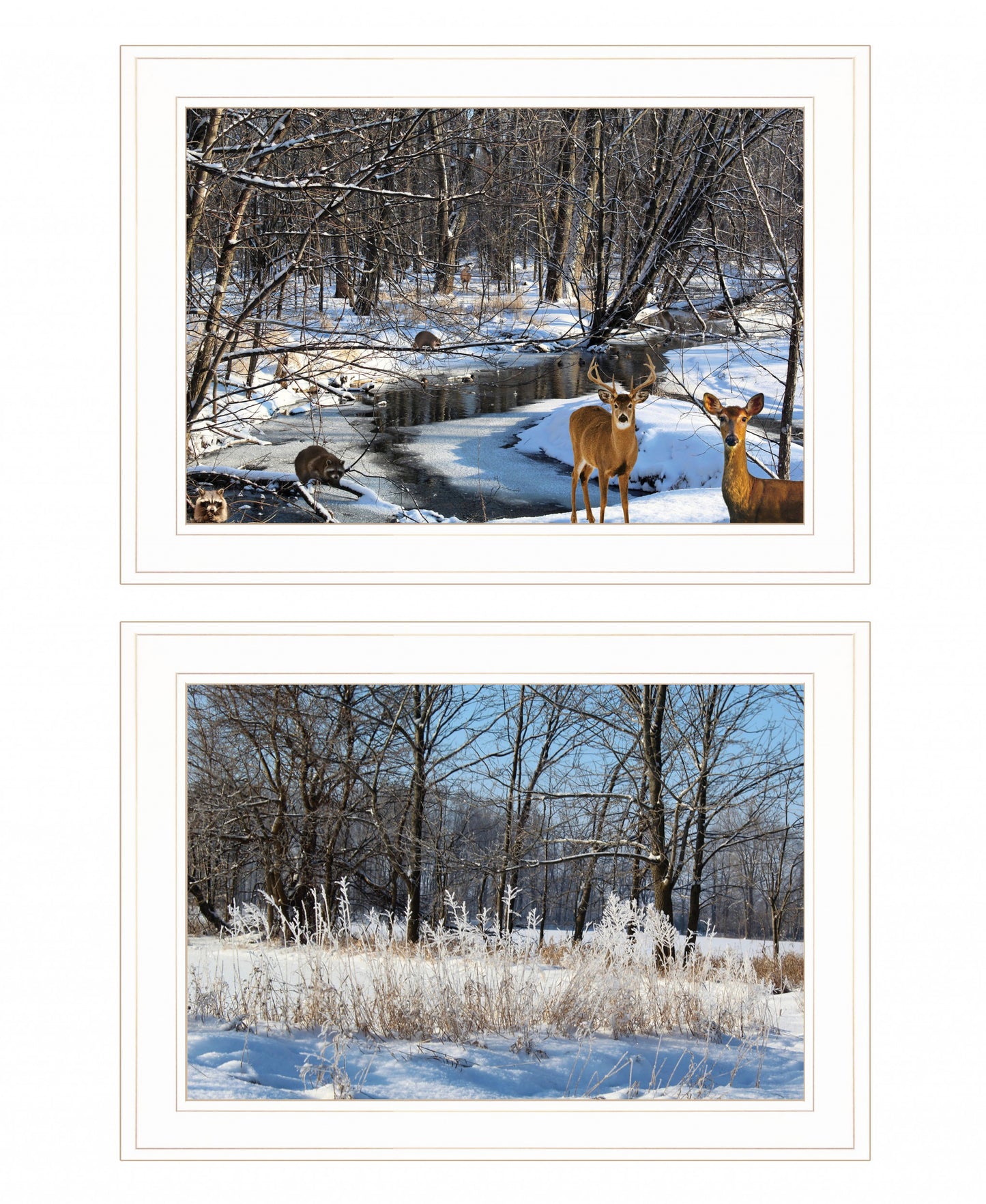 Set Of Two Great Outdoors Nature or Winter Forest 2 White Framed Print Wall Art-1