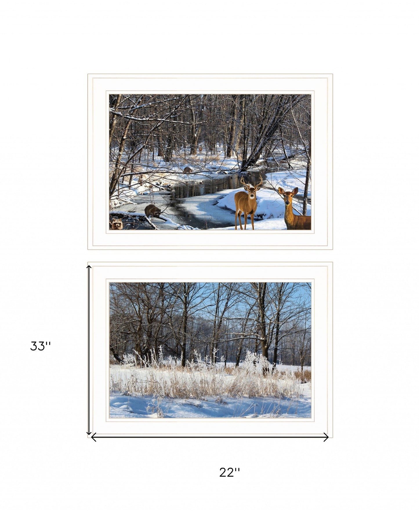 Set Of Two Great Outdoors Nature or Winter Forest 2 White Framed Print Wall Art-4