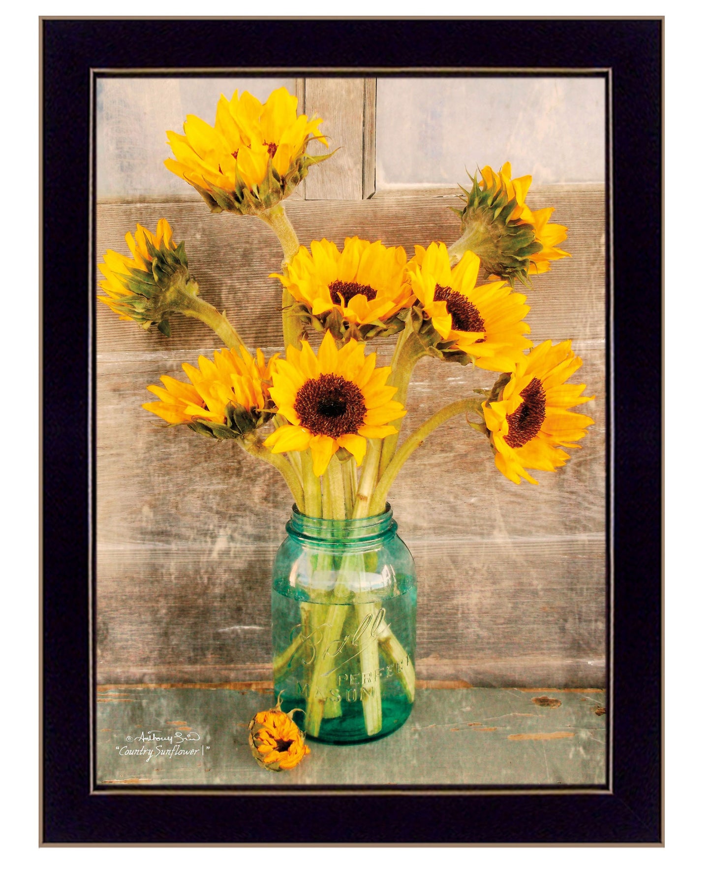 Country Sunflowers 1 Black Framed Print Wall Art-1