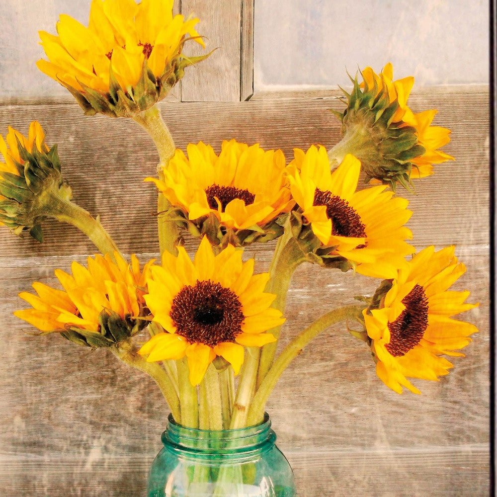 Country Sunflowers 1 Black Framed Print Wall Art-3